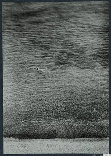 Bathing beach at Vouni, seen from above, with one swimmer in the sea