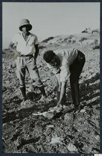 Two men on a stony hillside at Vouni, one bending over a slaughtered feast goat on the ground