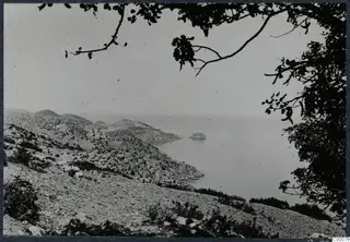 Rocky coastal hillside falling to a bay of calm sea, with a small islet offshore and tree branches framing the view.