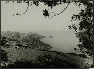 View over a rocky coastline and calm sea at Vouni, framed by tree branches