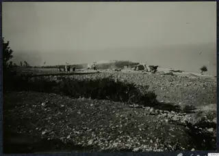 The palace at Vouni, with people, stones and trees across an open stony ground