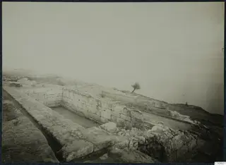 Stone walls and foundations of the palace at Vouni, with a small windswept tree on the right