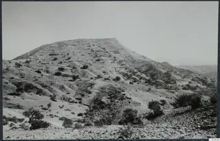 Hill with scrub and sparse trees rising above a rocky slope at Vouni Palace.