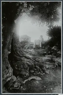 Woman seated at a laid table under a large shade tree, with a stone building behind