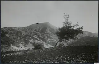 Landscape at Vouni with a flat-topped hill, stony ground and a leaning pine tree.
