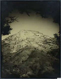 Hill at Vouni with pale, stony slopes and scattered shrubs, framed by branches of a tree.