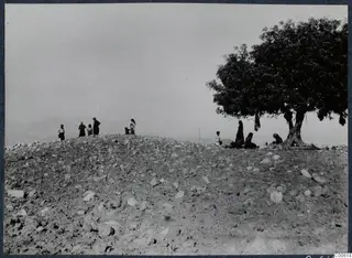 The stony palace hill at Vouni before excavation, with people standing and sitting near a large tree.