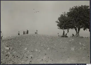 Stony hilltop at Vouni before excavation, with people standing on the crest and sitting in the shade of a large tree.