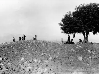 The palace hill at Vouni before excavation, a stony mound with a large tree and a group of people