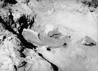 Two worked stone pieces lying in excavated soil at Vouni, a long curved stone on the left and a carved fragment on the right.