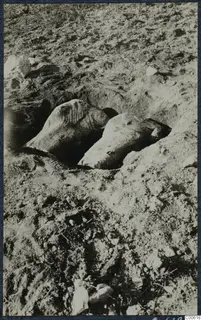 Two large stone objects half buried in loose sandy soil during excavation at Vouni