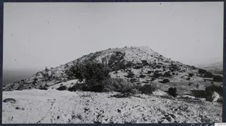 Rocky hill at Vouni with scattered scrubby trees and bushes, with the sea visible at the left edge