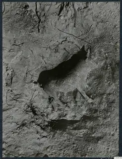 Animal-shaped object lying in packed soil, shown in situ at Vouni