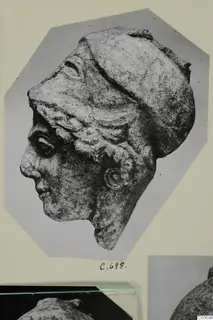 Limestone head in left profile, wearing a close-fitting cap, shown as a photograph on a mounted card