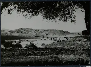 Topographical view at Soli with rounded hills, scattered shrubs and small trees, framed by a branch overhead