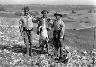 Three men stand on a stony hillside carrying a slaughtered goat hung from a pole across their shoulders, Soli