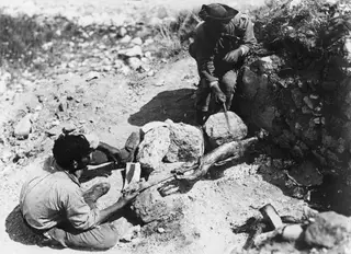 Festive meal being roasted at Soli: a man holds a spit through a carcass while another cuts it with a knife