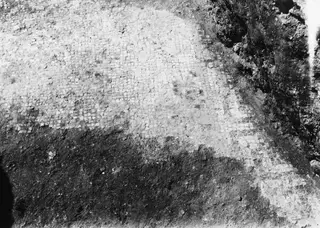 Close view of a small-tessera mosaic floor partly uncovered in a trench at Pezoullia, Soli.