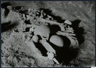 Skeleton with skull and long bones in excavated soil in Tomb 11 at Milia, with rounded objects beside it.