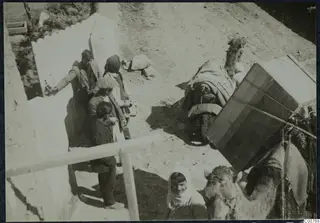 Camels being loaded with a large wooden crate at Milia, with people standing near a pale stone wall.