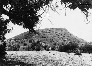 Flat-topped hill at Vouni seen through overhanging tree branches, with scrub and orchard trees in the foreground.