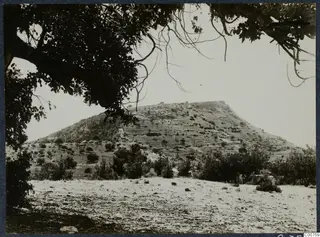 Tomb hill at Vouni seen through overhanging tree branches, with scrub and scattered trees on its slopes.
