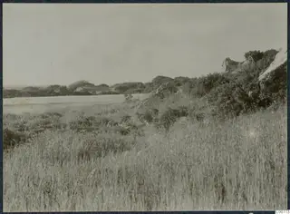 Grassy field with shrubs and rocky outcrops at Oura, with low hills and a strip of sea beyond
