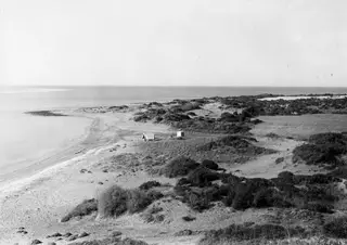 Coastal landscape at Oura with a sandy shore, dune scrub and the sea beyond.