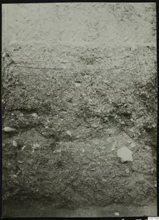 Close view of an excavated soil face at Plakes, Lapithos, with stones and layers visible