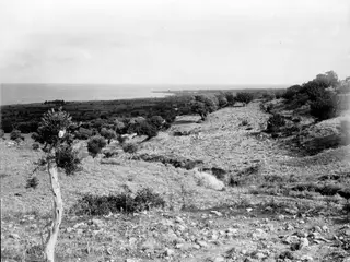 Landscape at Plakes, Lapithos, with a stony hillside sloping down toward the sea.