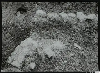 Excavated earth face at Plakes, Lapithos, with pale stones set into the soil