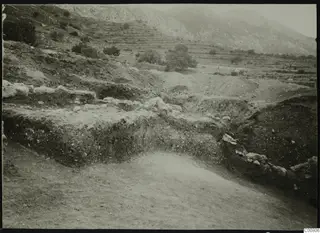 Excavation at Plakes, Lapithos, with exposed stone walling and trees on the terraced hillside