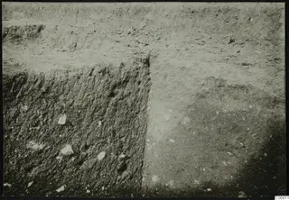 Excavation trench at Plakes, Lapithos, with a vertical soil face and scattered pale stones.