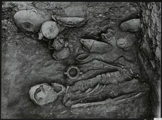 Tomb 602 at Lapithos: skeleton with pottery vessels and a circular object during excavation