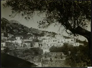 Lapithos village on a hillside, with a church tower among white houses and an olive tree in the foreground