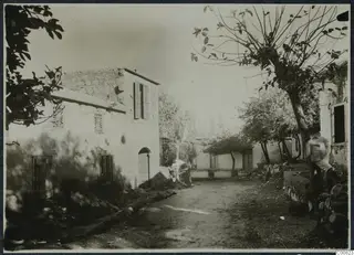 Street view at Lapithos with whitewashed houses, a dirt road and trees