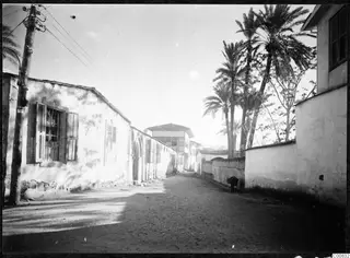 Dusty street in Nicosia lined with whitewashed buildings, a wooden power line pole and tall palm trees
