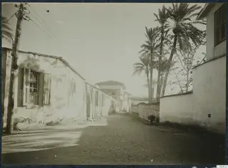 Dusty street in Nicosia lined with plastered buildings, a wooden power pole and tall palm trees.