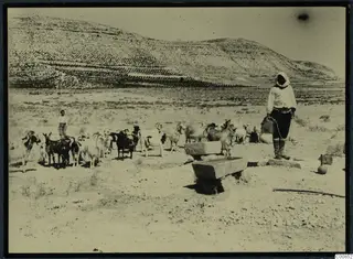 Shepherd with a flock of goats beside a stone water trough, with a rocky hillside behind, at Idalion