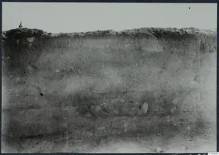 Vertical section of excavated soil at Idalion Acropolis, with pottery vessels and sherds lying in a band of earth
