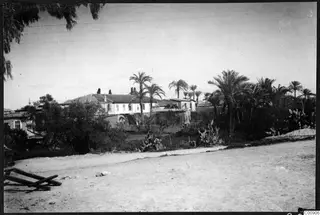 Buildings, palm trees and cacti beside an unpaved road in Nicosia