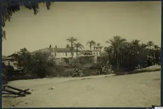 Dusty road in Nicosia with a long white building, palm trees and cacti behind a garden