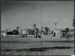 Houses, palm trees and a minaret on the edge of Nicosia, with dry open ground in front.