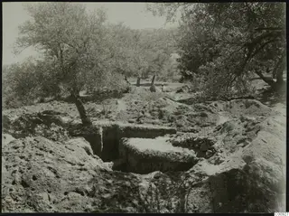 Excavation site at Lapithos, called Anastasia, among olive trees, with spoil heaps around an open cut.