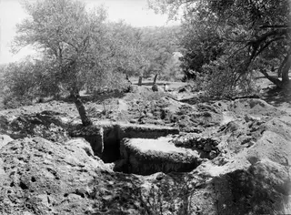 Excavation site at Lapithos called Anastasia, with a cut trench and spoil heaps among olive trees.