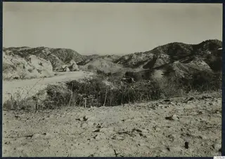 Dry hilly landscape on the Karpas peninsula with a dirt road winding past pale rocks and scrubby bushes.
