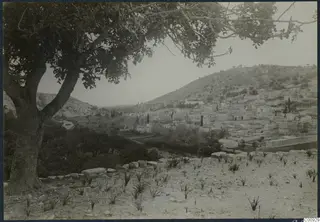 Kalavasos village on a hillside, seen from the east past a large tree and low stone blocks in the foreground.