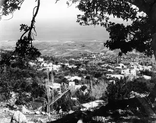 View down over Lapithos village and its plain of fields toward the sea, framed by tree branches