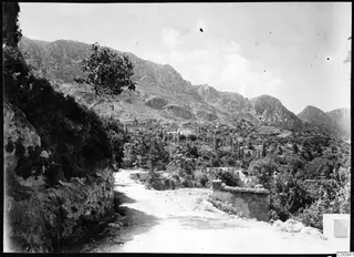 Landscape view of Lapithos village among trees, with a dirt road in the foreground and rocky mountains behind.