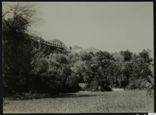 Landscape with dense trees, a cultivated field and a row of arches on a hillside, Ajia Anastasia, Lapithos